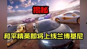 和平精英新转盘最新爆料,惊喜福利来袭，玩家狂欢不止！